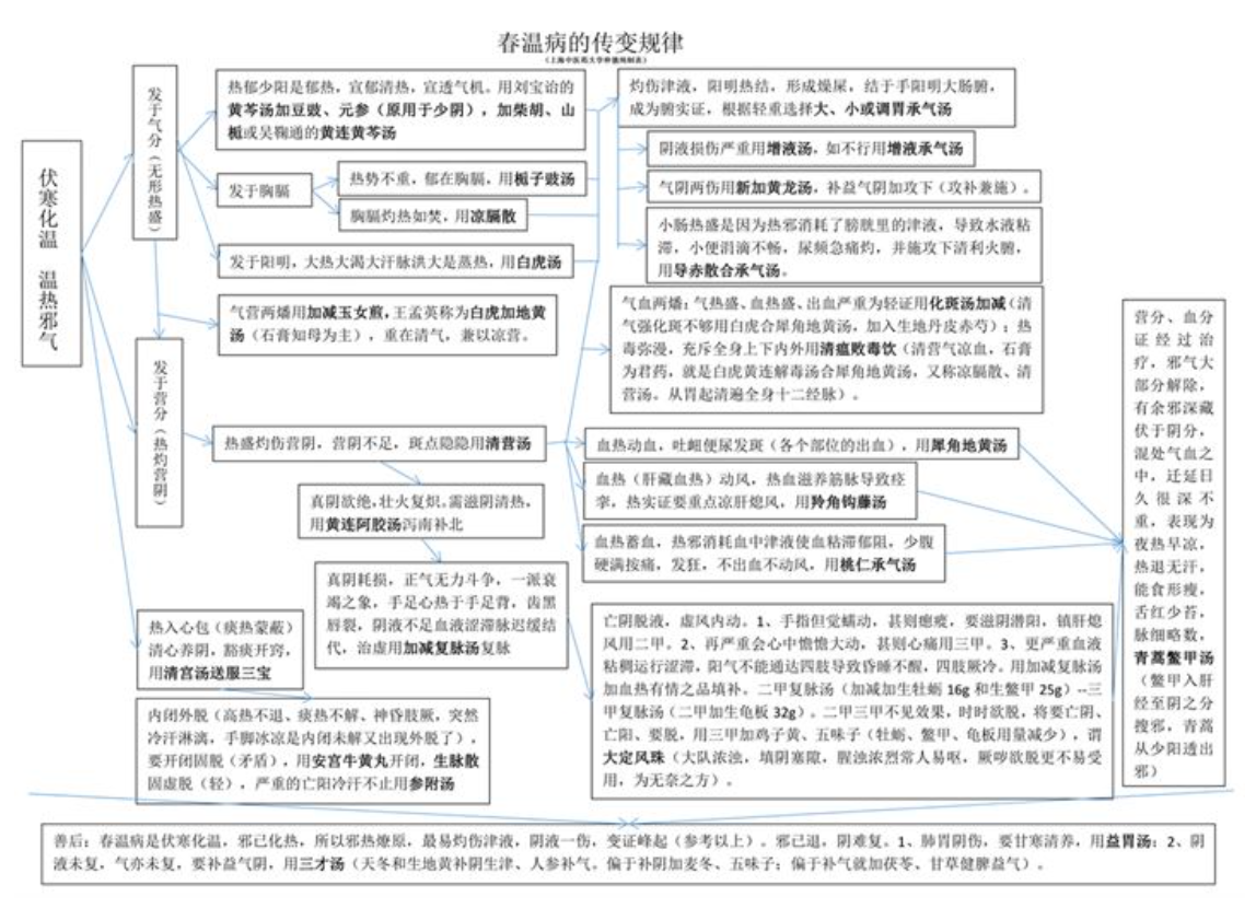 春温病传变规律