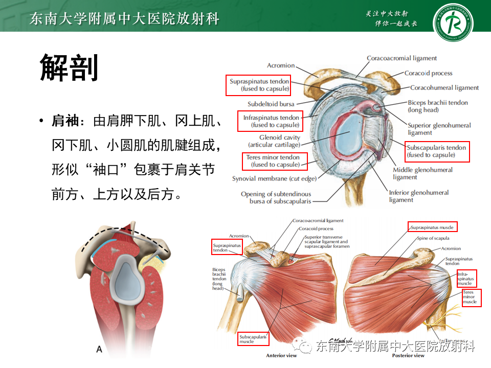 p2lu13seow01487.png