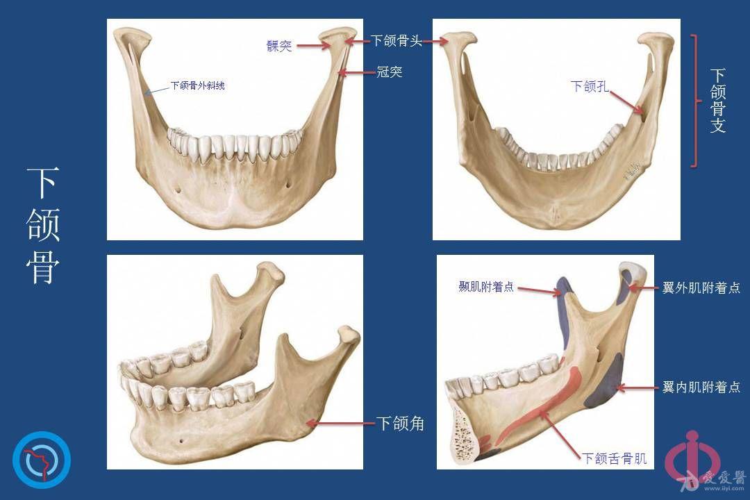 y1buxj0jwci15623.jpg